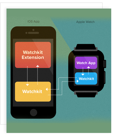 hire apple watch developers, hire apple watch application developer