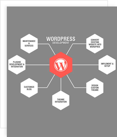 hire wordpress developers, hire wordpress application developer