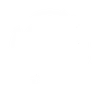 Global Delivery Excellence