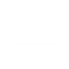 Web Experiences