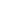 Security Icon