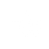 Security Icon