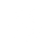 Security Icon