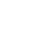 IAM Services Icon