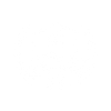 Security Icon