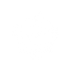Security Icon
