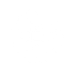 AI Security Expertise