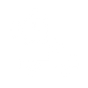 Delivery Speed