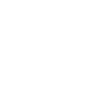 Healthcare & Medical