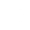 Security Icon