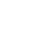 Security Icon