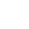 Security Icon