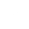 Security Icon