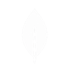 MongoDB