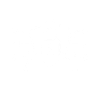 Security Icon