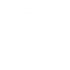 Security Icon