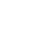 Security Icon