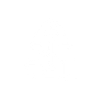 Security Icon