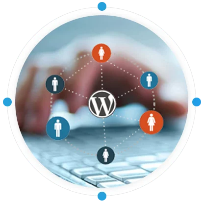 Wordpress Web Development Company & Custom Wordpress Services - SISGAIN